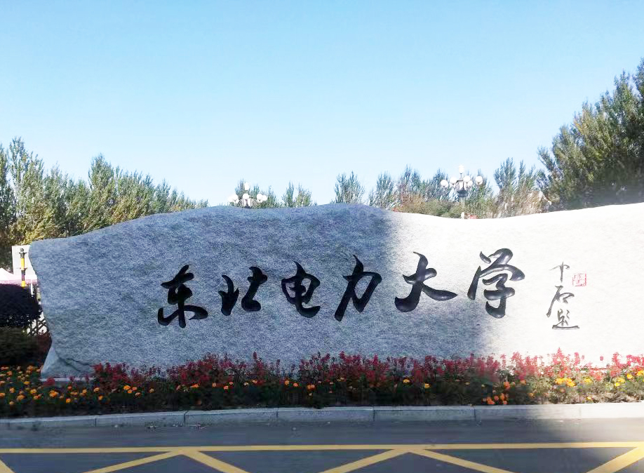 东北电力大学采购南京91视频最新网址的DZ-DSC300C91视频黄色片